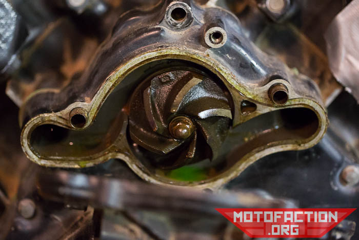 How to remove the water pump impeller cover on a Honda CX500, GL500, CX650, GL650 etc.